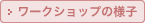 [NVbv̗lq